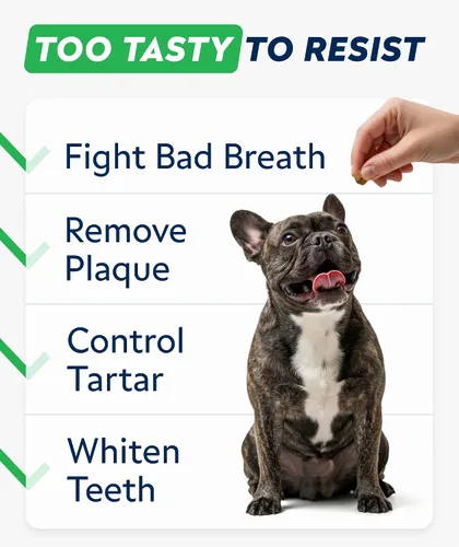 Vista 2 de STRELLALAB Avanzados masticables dentales y ambientadores de aliento para perros, golosinas de limpieza de dientes de perro, control de mal aliento