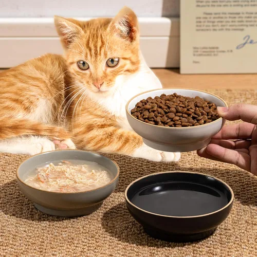 Vista 6 de Platos de cerámica para gatos para alimentos y agua, seguros de porcelana de grado alimenticio, 5.3 pulgadas, paquete de 3 platos y platos