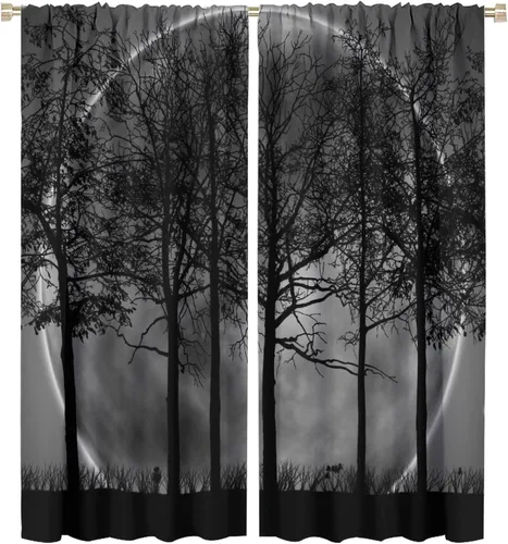 Vista 14 de Cortina de bosque neblinoso, bosque verde brumoso, paisaje natural, pino, alerce, niebla, montaña, oscurecimiento de habitación, puerta, ventana