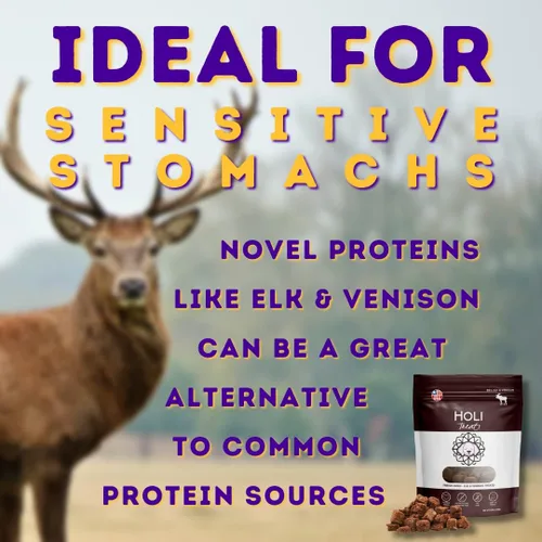 Vista 2 de HOLI Elk & Venison - Golosinas liofilizadas para perros, totalmente naturales y capturadas en la naturaleza, fortificadas con vitaminas y minerales