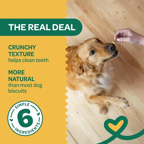 Vista 2 de Wholesome Pride Nature's Biscuits - Golosinas para perros, calabaza, 16 onzas (paquete de 8)
