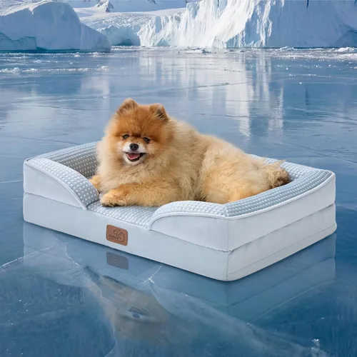 Vista 62 de Bedsure - Cama para gatos de interior, sofá cama lavable para perros muy pequeños, espuma de soporte con funda extraíble y lavable, forro Gris
