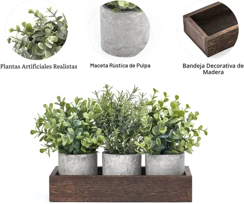 Vista 4 de Dahey - Juego de 3 plantas artificiales en miniatura en maceta de eucalipto con bandeja de madera, centro de mesa, decoración de mesa, macetas