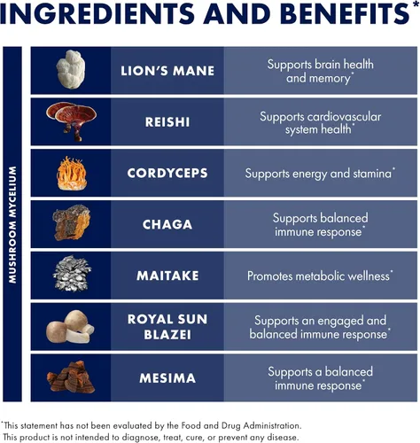 Vista 6 de Host Defense Stamets 7 Polvo de Hongos – Mezcla de 7 Especies – Suplemento de Hongos para Apoyo Inmunológico con Royal Sun Blazei, Cordyceps