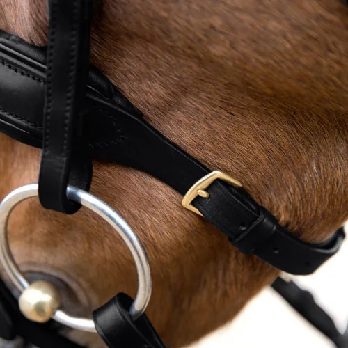 Vista 5 de HORZE Lester Dressage Snaffle Bridle w/Riendas