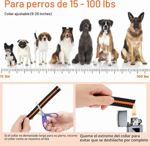 Vista 7 de Collar de entrenamiento para perros, collar de choque para perros IPX7 impermeable con control remoto de alcance de 1300 pies, 3 modos de Naranja