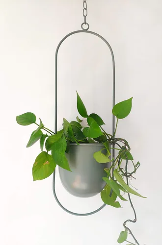 Vista 10 de RISEON Colgador bohemio de metal negro para plantas, maceta colgante de pared y techo de metal, maceta moderna, soporte para macetas de mediados