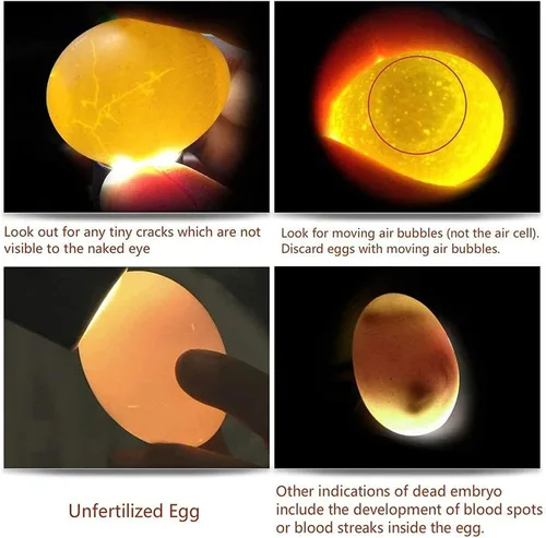 Vista 6 de Probador de velas de huevos USB recargable con luz de vela de huevo Negro