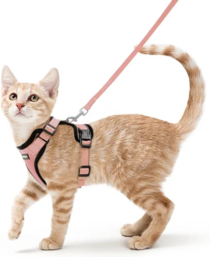 Vista 44 de rabbitgoo Cat Harness and Leash Set, Escape Proof Vest, XXS, Berry Pounce Soft Breathable Mesh, No-choke Adjustable Fit, Snap Buckles, Sturdy