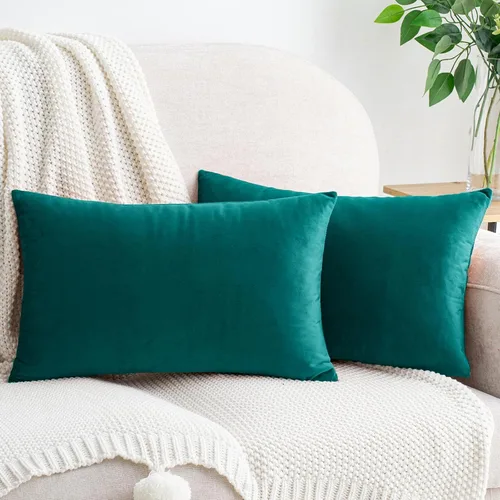 Vista 80 de HWY 50 fundas de almohada decorativas de terciopelo sólido para sofá, sala de estar., Terciopelo, gris, 20x20 pulgadas