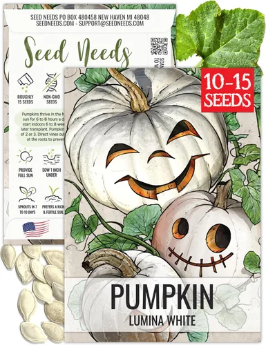 Vista 9 de Seed Needs Semillas de calabaza para plantar calabazas pequeñas de tarta de azúcar, semillas de verduras sin OMG y sin tratar para plantar un huerto