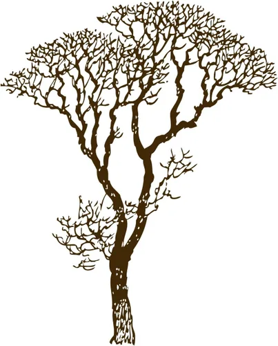 Vista 3 de Adhesivo decorativo para pared, diseño de ramas de árbol desnudo, negro, 6 pies de alto (72 pulgadas de alto x 58 pulgadas de ancho). Fácil