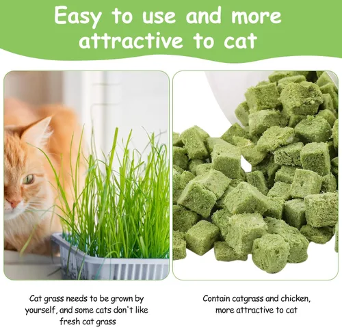 Vista 9 de 60g de hierba gatera para gatos, snacks de hierba gatera deshidratados al congelar para la dentición de gatitos, juguetes masticables comestibles