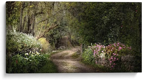 Vista 6 de Canvas Lab SECRET GARDEN by Ariadne Contreras 15 x 7 in Fine Art Framed Print, Frame Color: Black, With Mat Botanical, Scenery, Floral