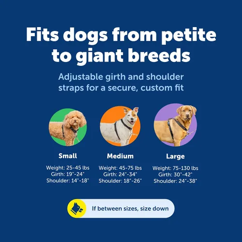 Vista 5 de PetSafe Arnés 3 en 1 con correa de control de dos puntos, arnés sin tirones, pequeño, negro, ajustable