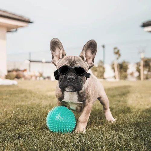 Vista 2 de Gafas de sol UV para cachorros con correa ajustable, antivaho y resistentes al viento, plegables para mascotas para perros pequeños y medianos