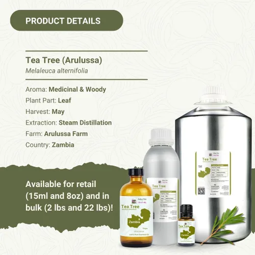 Vista 5 de Aceite esencial de árbol de té, directo de Arulussa Farm Zambia, destilado al vapor, aceite esencial de árbol de té para aromaterapia, masaje