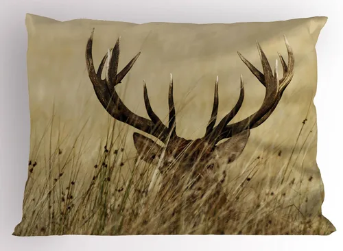 Vista 85 de Lunarable Juego de 2 fundas para almohada de otoño, tema vintage otoñal con estilo granja, ilustración de flores silvestres, artículo de cama