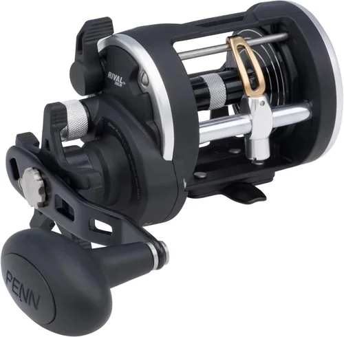 Vista 12 de Carrete de pesca Penn Rival Level Wind convencional