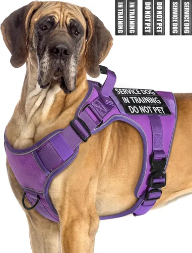 Vista 22 de Chaleco de perro de servicio para perros medianos, arnés de perro de servicio en entrenamiento con parches, chaleco ajustable para perros