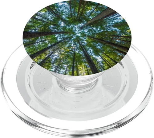 Vista 8 de Nature Giant Redwood Trees PopSockets - Agarre y soporte para teléfonos y tabletas, Negro