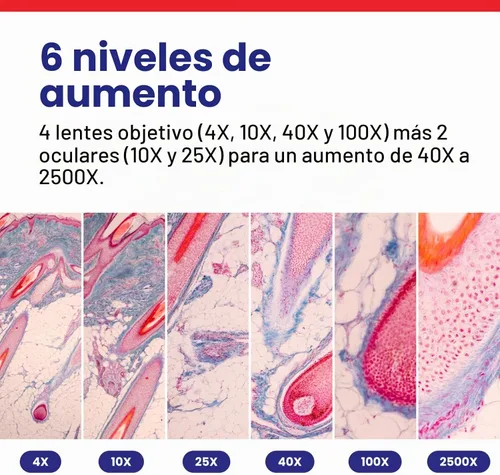 Vista 3 de AmScope Serie B120 Microscopio compuesto binocular LED para estudiantes y profesionales - Aumento 40X a 2500X - Incluye cámara USB 2.0 de 0.3MP