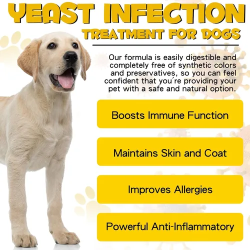 Vista 3 de ALIVO Tratamiento de infección por levaduras para perros, tratamiento natural de infección por levaduras apoya el alivio de la picazón del perro