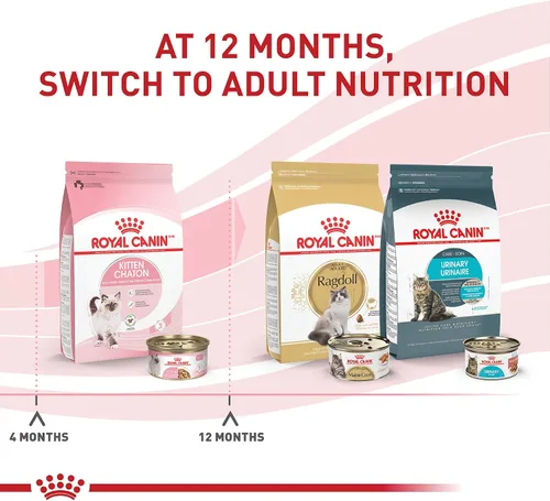 Vista 5 de Comida enlatada para gatos, de Royal Canin, salud felina, nutrición instintiva de adultos, rebanadas delgadas en salsa, Paquete de 6