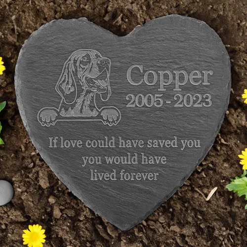 Vista 5 de Memorial personalizado de American Staffordshire Terrier, lápida de American Staffordshire Terrier, condolencias por pérdida de American