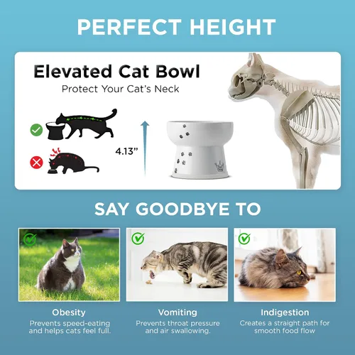 Vista 5 de NECOICHI - Cuenco elevado para agua para gatos, elevado, con líneas de medición, apto para lavavajillas y microondas (gato, extra alto) color blanco