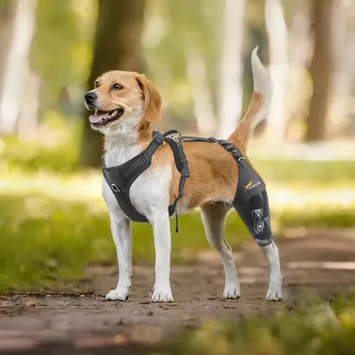 Vista 2 de Rodillera para perro para pierna trasera desgarrada, estabilizador de bisagra ajustable, pierna izquierda, L Dog back brace for Osteoarthritis