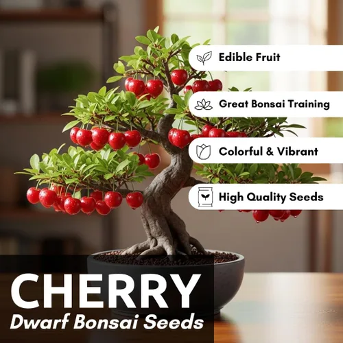 Vista 5 de 20 semillas de cerezo enano bonsái Árbol frutal para interiores o exteriores Fabricado en Estados Unidos, se envía desde Iowa