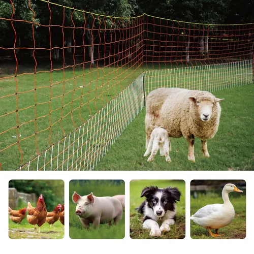 Vista 5 de Valla eléctrica de alta calidad para aves de corral, 59 pulgadas de alto x 98.5 pies de largo, versátil valla eléctrica portátil para pollos