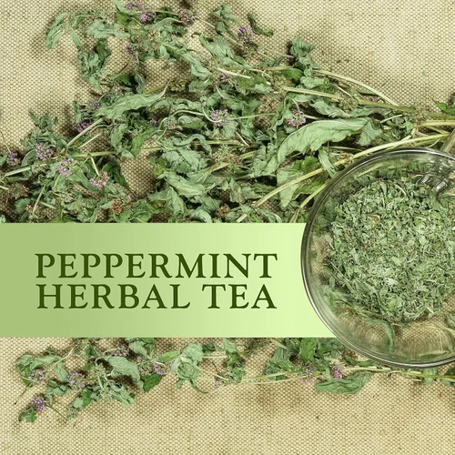 Vista 5 de Constellation Tea Cápsulas de té de hierbas de menta compatibles con cafeteras K Cup incluyendo 2.0, 40