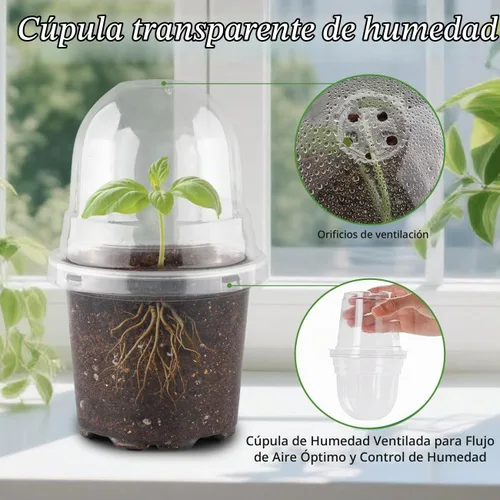 Vista 2 de RooTrimmer - Juego de 60 macetas transparentes para guardería con cúpulas de humedad, macetas de plástico de 4 pulgadas con agujeros de drenaje