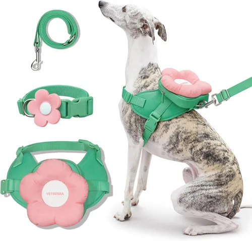 Vista 8 de VETRESKA Flora - Juego de arnés para perro, correa y collar, arnés de chaleco para perro sin tirones para caminar y entrenar, ajustable, fácil