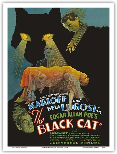 Vista 9 de Edgar Allan Poe's The Black Cat - Protagonizada por Boris Karloff Bela Lugosi - Póster de película vintage c.1934 - Impresión artística maestra