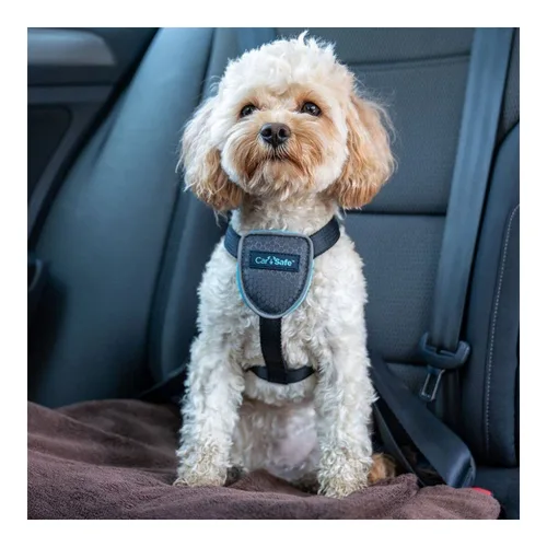 Vista 3 de Arnés para Perro Company of Animals CarSafe Negro XS