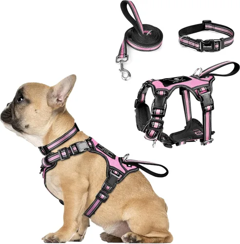 Vista 26 de Juego de arnés reflectante todo en uno para perro, collar y correa, sin tirones con hebillas ajustables, talla XL, azul oscuro