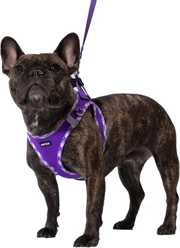Vista 13 de AMTOR - Arnés pequeño para perro con juego de correa, arnés de paseo fácil sin escape para cachorros para entrenamiento, arnés reflectante suave