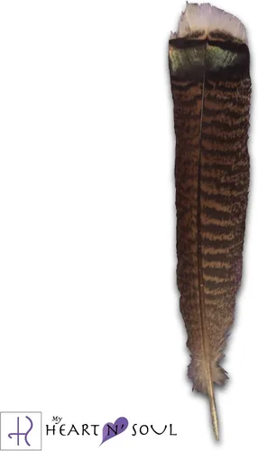 Vista 2 de Kit de manchas de lujo con salvia, pluma hecha a mano, arena, concha de abulón, soporte, limpieza energética, práctica espiritual, manchas en casa