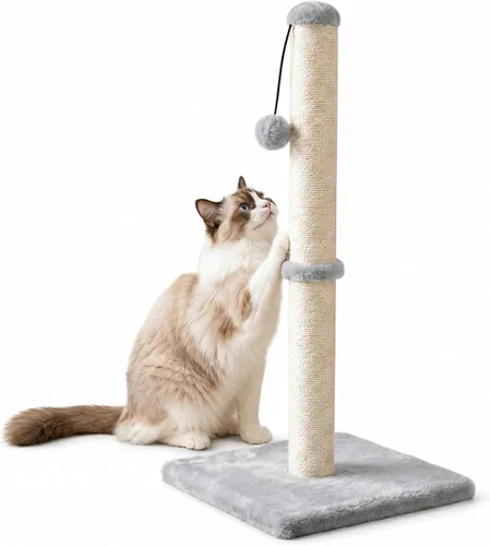 Vista 20 de Dimaka - Poste rascador para gatos de 34 pulgadas de alto, con cuerda de sisal y cubierto con suave felpa suave, rascador vertical