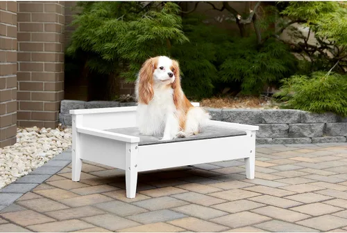 Vista 5 de Cama de madera para perro con colchón resistente al agua, cama elevada para mascotas pequeña a mediana con colchón calmante para mascotas
