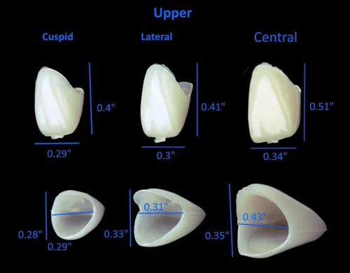 Vista 5 de Kit de corona temporal dental de tamaños mixtos Caja Anterior/50