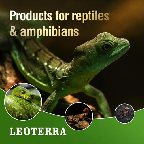 Vista 6 de Leoterra Bombilla de calor nocturno de reptiles de 50 W, lámpara de calor nocturna infrarroja roja de 10-20 galones, uso de terrario de vidrio
