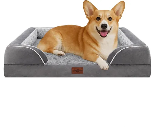 Vista 203 de Comfort Expression - Cama ortopédica para perros medianos, 28 x 19 pulgadas, cama impermeable y de apoyo de espuma con cojines removibles, sofá