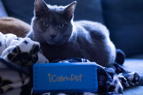Vista 4 de Cool Cat Gold Pak iCalmPet Ruff 'n Ready Altavoz portátil con 3 horas MicroSD Cat Calming Classical