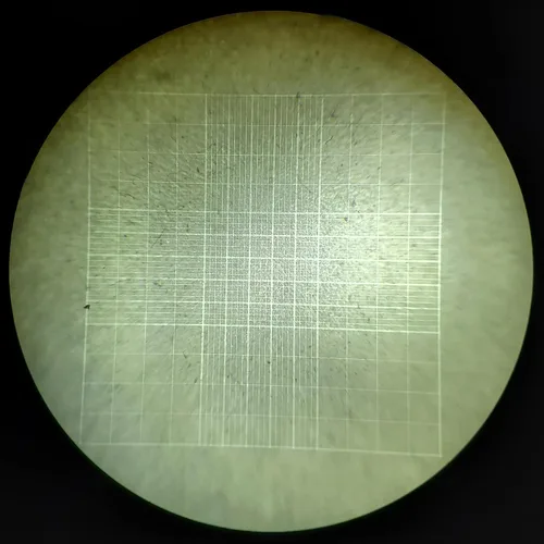Vista 2 de Hemocitómetro Neubauer mejorado, cámara de conteo celular con línea brillante y dos vidrios de cubierta.
