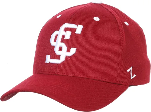 Vista 74 de ZHATS - Sombrero ajustado elástico para hombre de la NCAA, color del