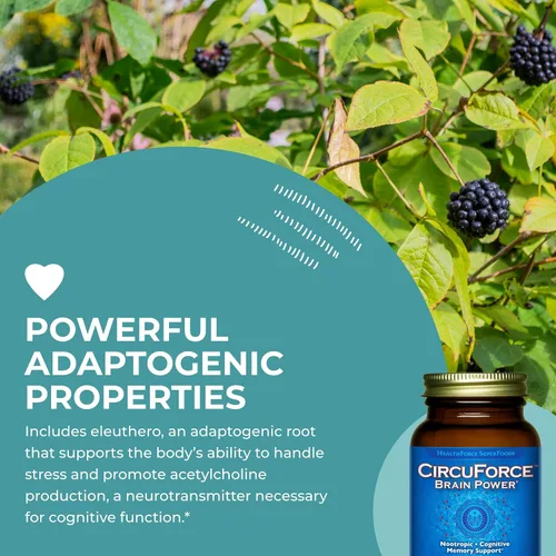 Vista 5 de HEALTHFORCE SUPERFOODS CircuForce Brain Power - 90 VeganCaps